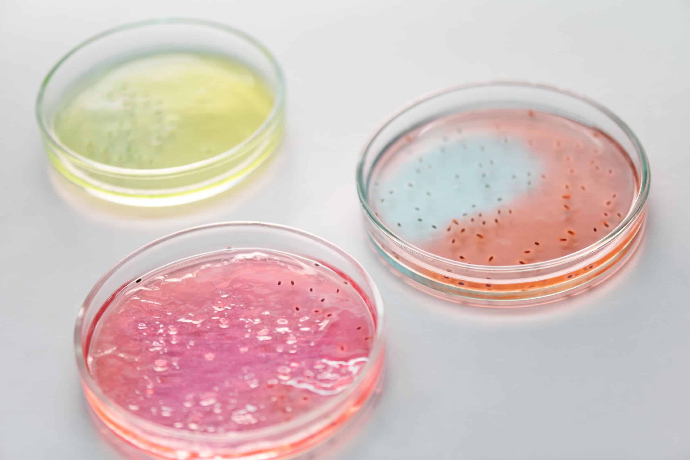 Effektive Mikroorganismen in der Zahnmedizin